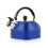 Stainless Steel Whistling Tea Kettle 3L Flat Bottom 4