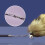 Cat Feather Wand Toy for Indoor Cats 1 Piece 4
