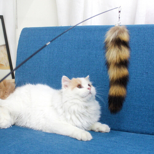 Cat Feather Wand Toy for Indoor Cats 1 Piece 2