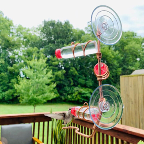 ICERUN Hummingbird Feeder with Suction Cups 1 Piece 1