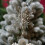 Lighted 3D Hollow Star Christmas Tree Topper 3