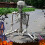 Life-Size Posable Halloween Skeleton Prop with Anatomy 5