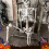 Life-Size Posable Halloween Skeleton Prop with Anatomy 7
