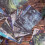 Vintage Dark Aesthetic Junk Journal Paper Pack 60 Sheets 4