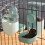 Rabbit Automatic Food Dispenser Hanging Gravity Feeder 29 3
