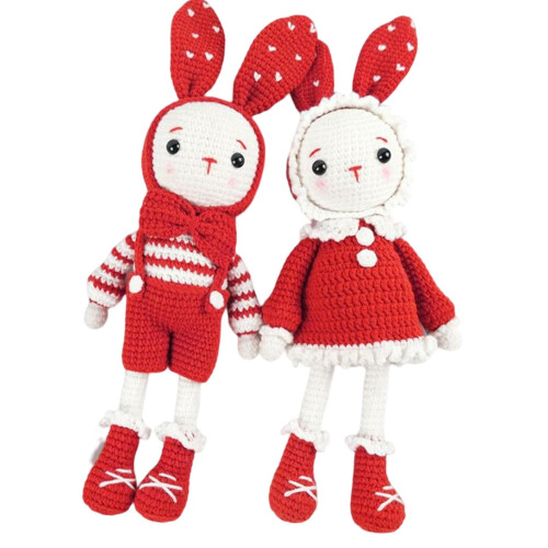 Crochet Rabbit Kit for Beginners with Yarn Hook and 1
