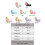 English letter ribbon for gift packaging 10m 5