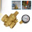 Brass Water Pressure Reducing Regulator DN25 with Gauge 5