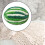 Wool Yarn Bulky Green White 100g 6