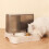 Pet Water and Food Bowl Double Compartment Moderate Capacity 5