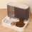 Pet Water and Food Bowl Double Compartment Moderate Capacity 7