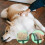 Dog Slicker Brush for Shedding Black Small 5