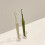 Toothbrush Holder Wall Mounted with Suction Cups 4