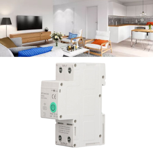 Smart Leakage Circuit Breaker 63A 2P AC230V 1