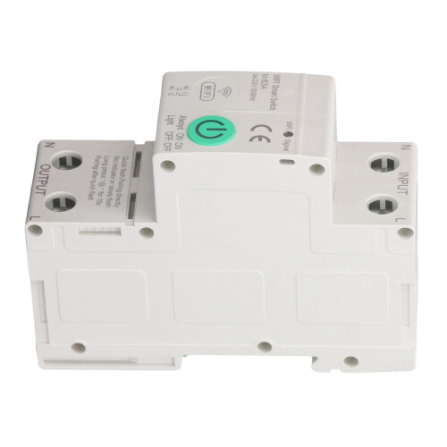 Smart Leakage Circuit Breaker 63A 2P AC230V 2