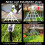 Husfou Halloween Spider Web Set with Light-up Spider and 6
