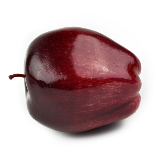 Artificial Red Snake Fruit Plastic Decorative Fruit 1 pc 1