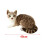 Gray Plush Cat Doll 40cm Soft Stuffed Toy 8