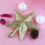 Christmas Tree Topper Star Glitter 4.5 Inch 3