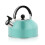 Stainless Steel Whistling Tea Kettle 3L 6