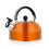 Stainless Steel Whistling Tea Kettle 3L 7