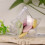 Clear Plastic Storage Boxes with Lids 4x4x1.8in 5 pcs 4
