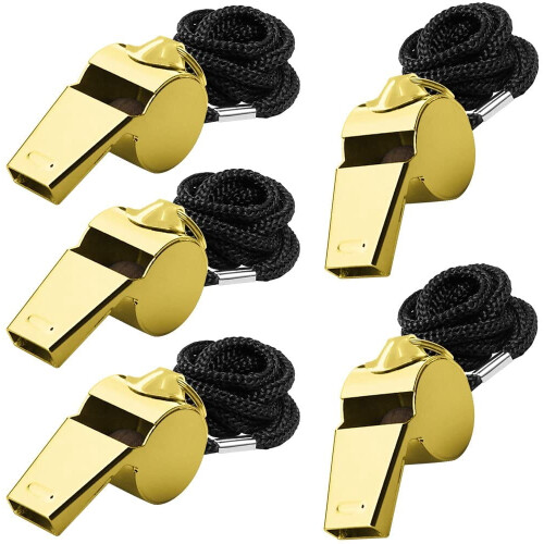 Stainless Steel Emergency Whistle Set 5 pcs 1