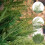 Artificial Pine Branches Green 20 Pcs 13.4 Inch 5