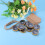 Compass Wedding Favors with Kraft Tags 10PCS 5