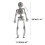 Halloween Skeleton Figure with Movable Joints 11.5 Inch 3