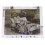 DIY diamond embroidery pattern for elderly couple 1 set 8