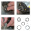 N078434 Spring Kit for  20V Impact Wrench DCF885 DCF886 Spring and  Replacement, Impact Driver Spring Kit 4set 5