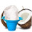 Coconut Shaved Ice Syrup 32 fl oz 7