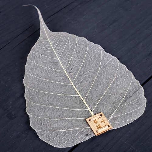 Mesh Strainer Infuser for Tea and Herbs 1