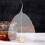 Mesh Strainer Infuser for Tea and Herbs 5