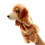 Chocolate Pancake Plush Doll Cartoon Style 1 Piece 5