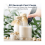 Handheld Rechargeable Blender for Matcha and Coffee 1 pc 4