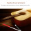 Guitar fret polishing tool red replaceable file 2