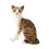 Cat Plush Toy Siamese Style 2 pcs 8
