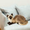 Cat Plush Toy Siamese Style 2 pcs 4