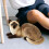 Cat Plush Toy Siamese Style 2 pcs 5