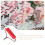 Manual Craft Roller Multi-function Plastic Roller 3