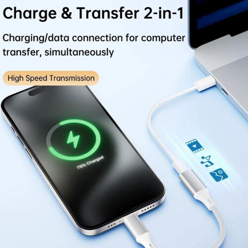 Gray Type-C Fast Charging Adapter 60W 1