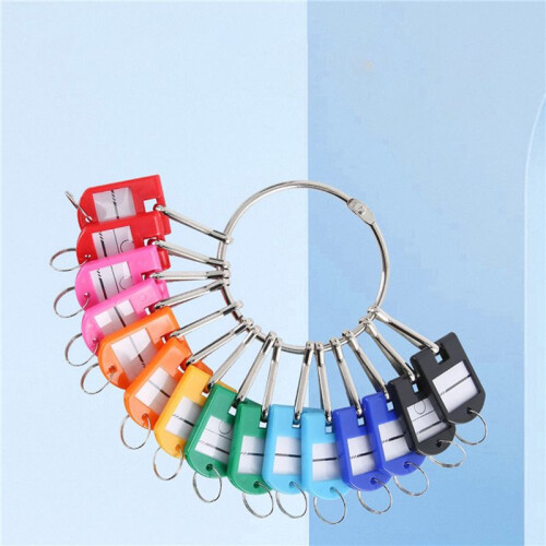 Portable Metal Ring Key Organizer with 90 Spring Hooks & Key Tags with Ring and Label Window 1