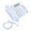 Landline Phone with Large Buttons and Loud Speaker for Low 8