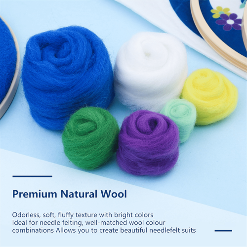 Needle Felting Kit for Beginners with Tools and Instructions 2
