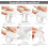 Pasta Dryer Collapsible Rack Food-Grade ABS White 2