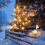 Light-Up Duck Christmas Decoration LED Outdoor 1pc 5