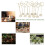 Wooden Table Numbers 1-10 for Wedding Decoration 5