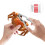 Meijiashe seafood tool set 12 pieces 7